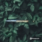 Preview: Correction sticks